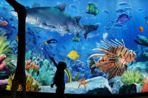SEA LIFE Bangkok Ocean World