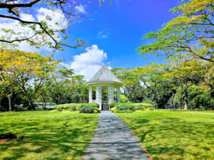 Singapore Botanic Gardens