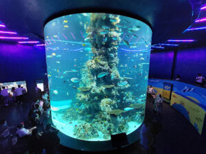 Singapore Oceanarium by lars